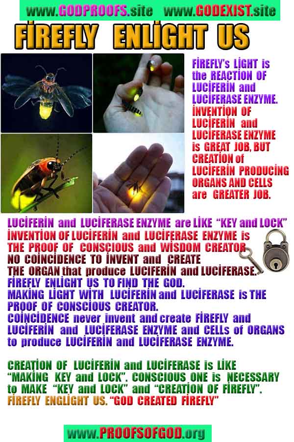 proofs of god, proofs-god, evidences of god, evidences-god, god exists proofs