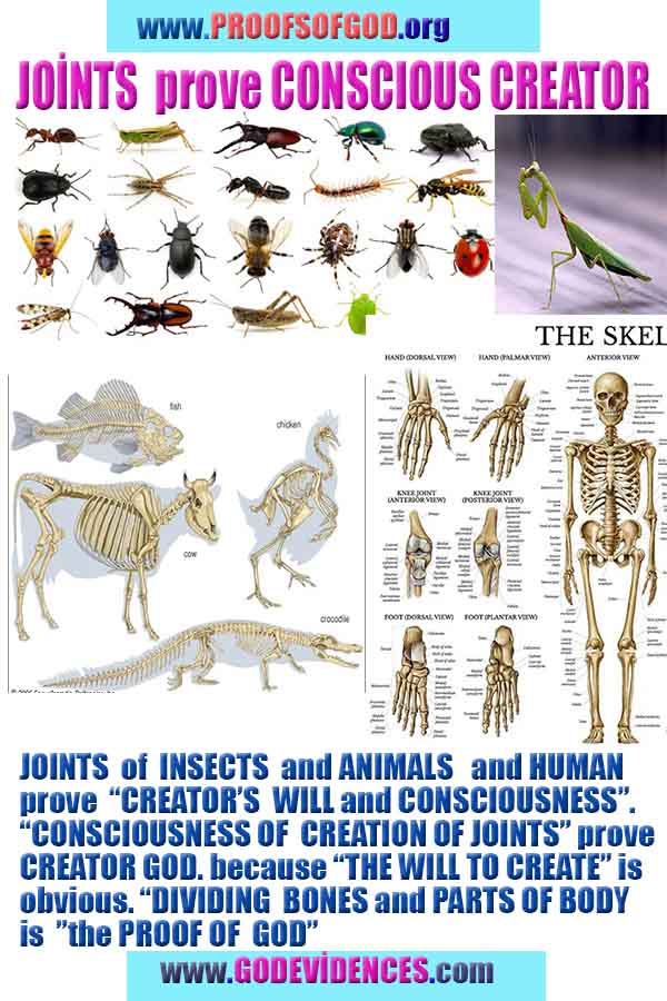 proofs of god, proofs-god, evidences of god, evidences-god, god exists, god is real, signs of god